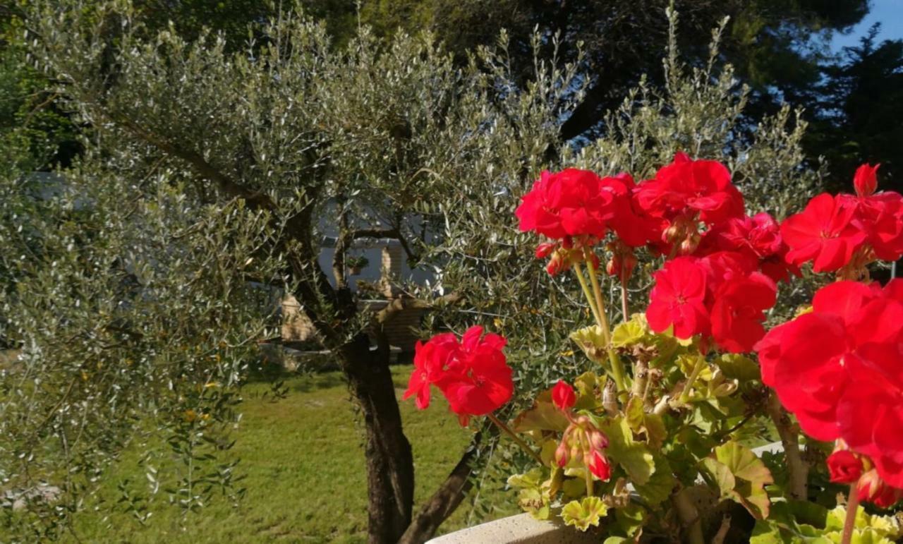 Perla del Salento Villa Otranto Exterior foto